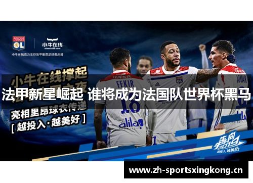 法甲新星崛起 谁将成为法国队世界杯黑马