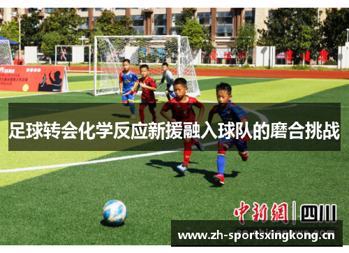 足球转会化学反应新援融入球队的磨合挑战
